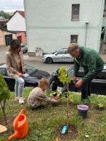 traubenlese2025_3